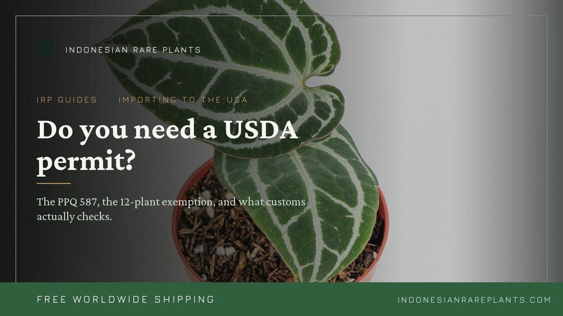 Do You Need a USDA Permit to Import Plants? The PPQ 587 Guide, in Plain English